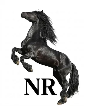 Nestor Rodriguez