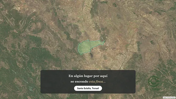 Spot image