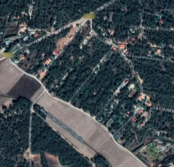 Spot image