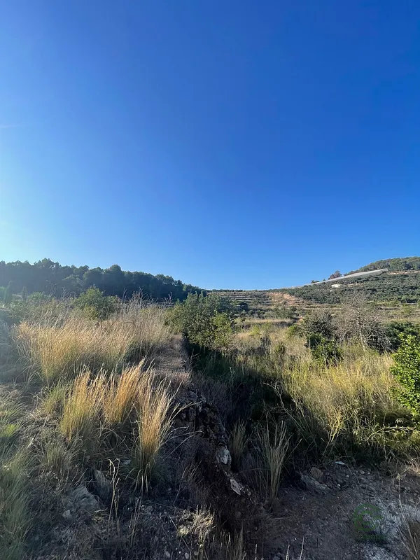 Agricultural property of 1,17 ha for sale in Alicante