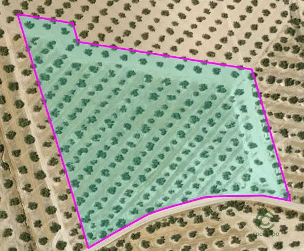 Spot image