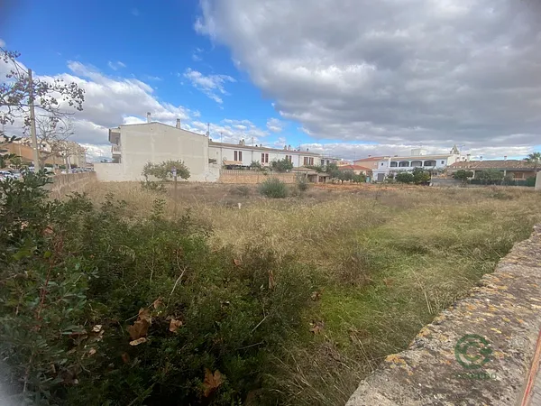 Spot image