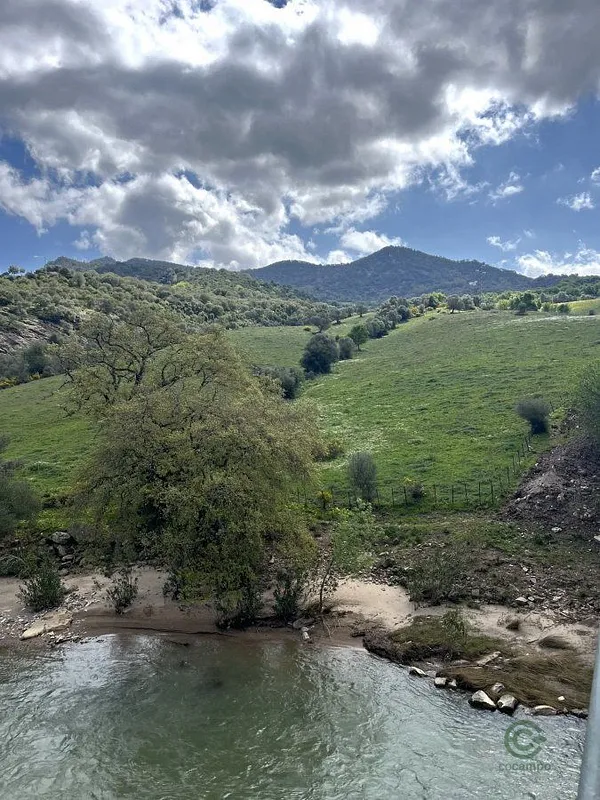 Spot image