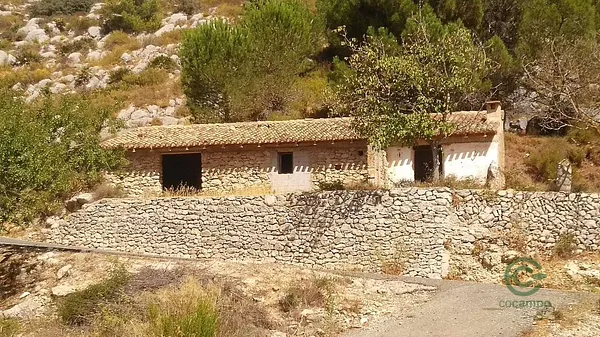 Spot image