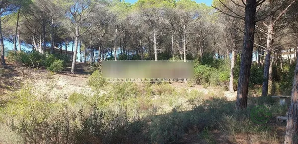 Finca rústica de 1,33 ha en venta en Tordera, Barcelona