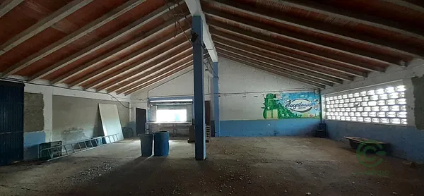 Spot image