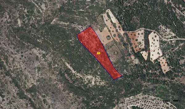 Finca rústica de 0,84 ha en venta en Tous, Valencia