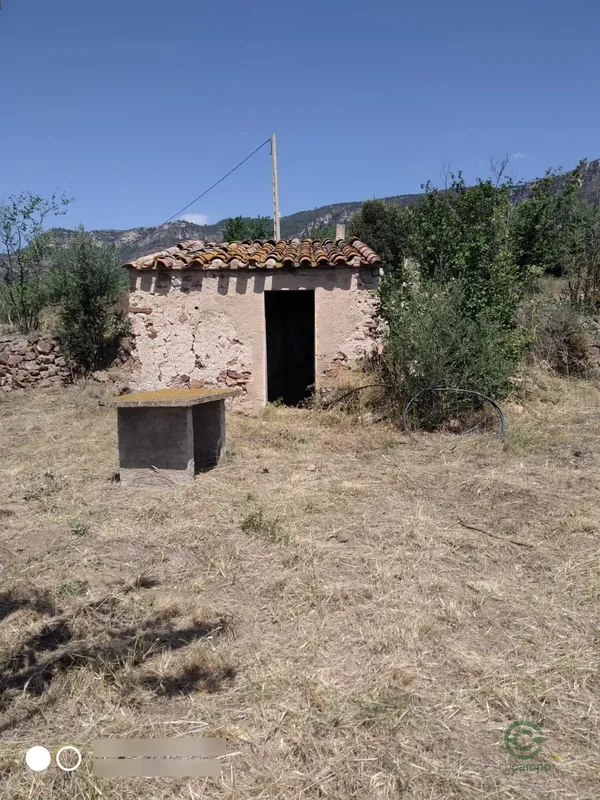 Spot image