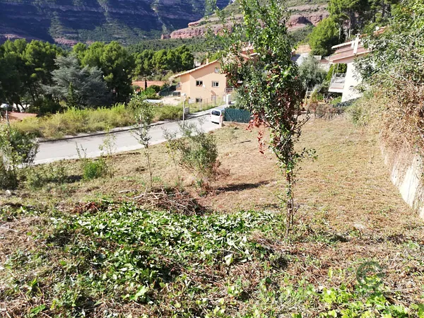 Spot image