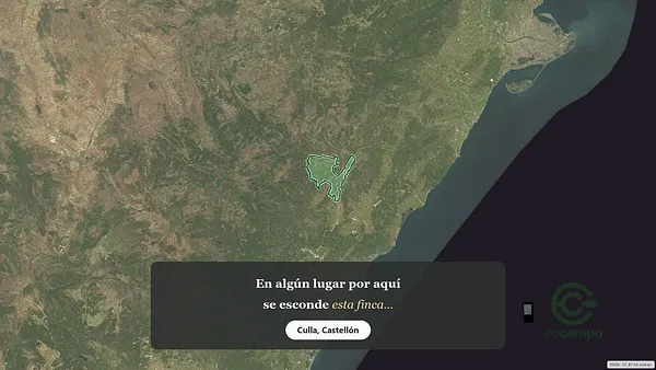 Spot image