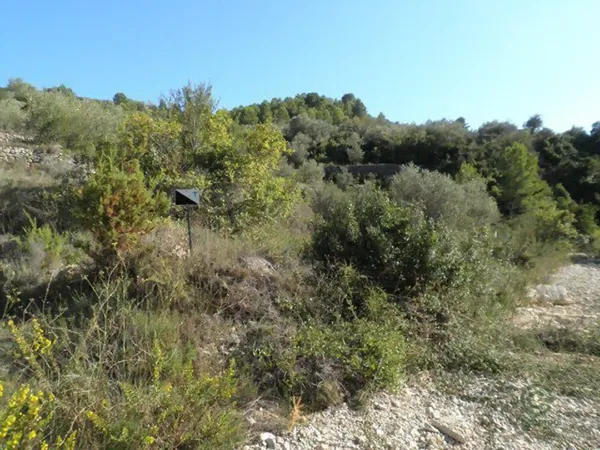 Spot image