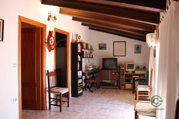 Spot image