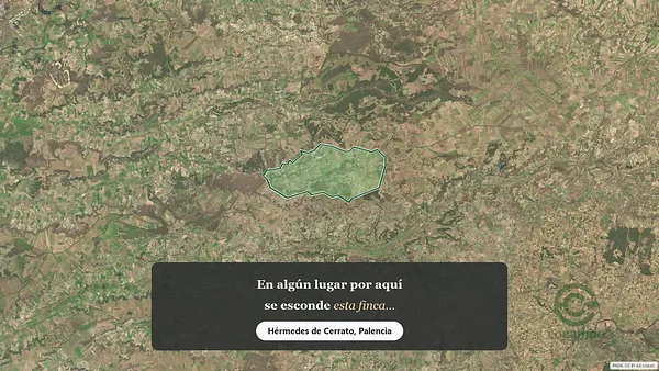 Spot image