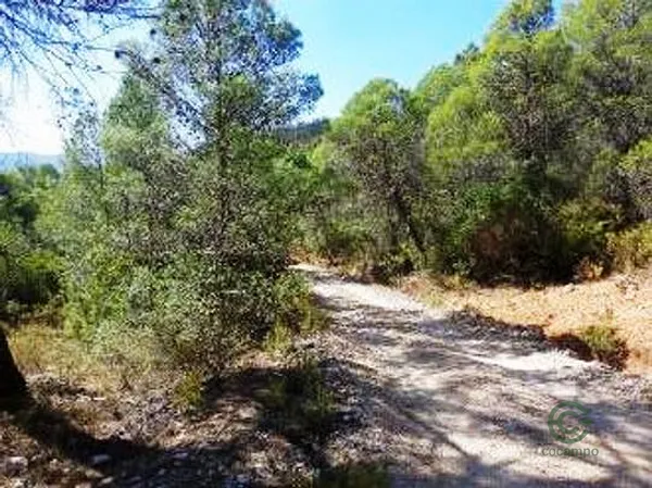 Finca rústica de 123,7488 ha en venta en Villanueva del arzobispo, Jaén