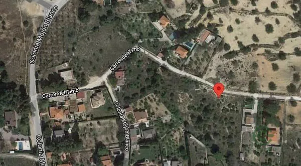 Spot image