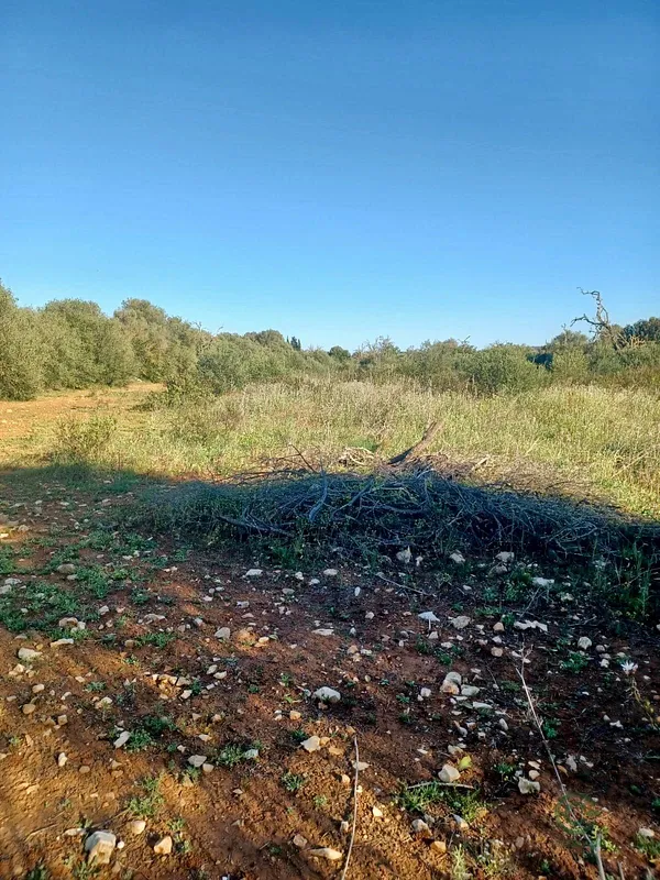 Finca rústica de 0,76 ha en venta en Baleares