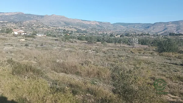 Spot image