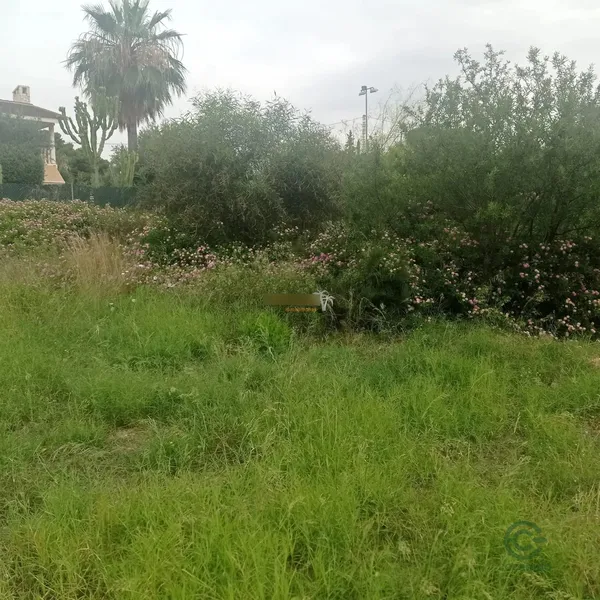 Spot image