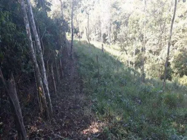 Fazenda rustica de 2,76 ha para venda em São paulo