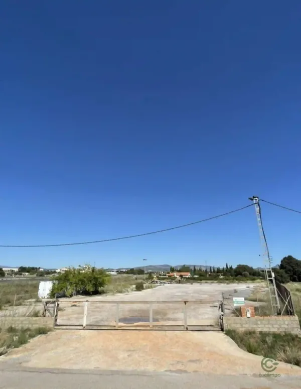 Spot image