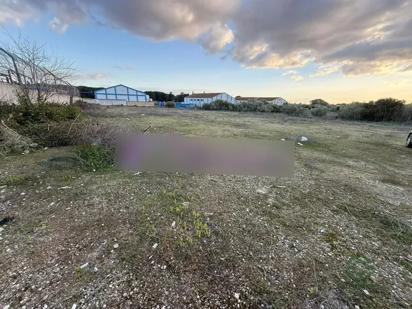 Spot image