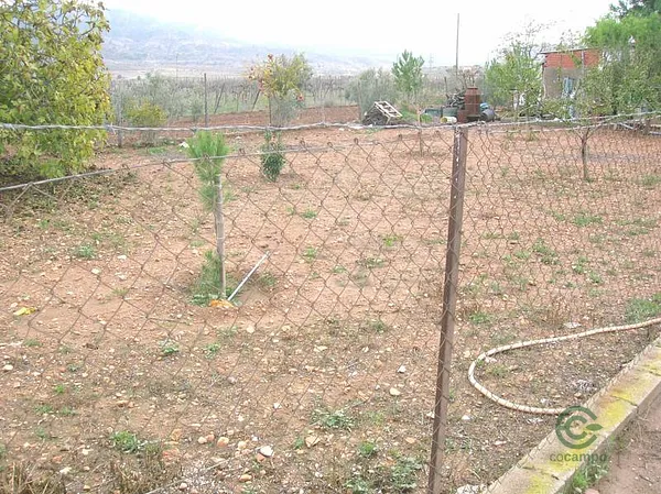 Spot image