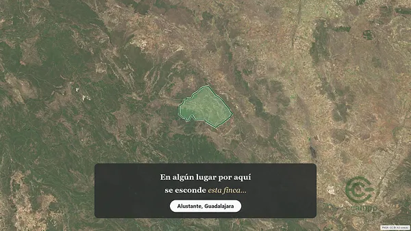 Spot image