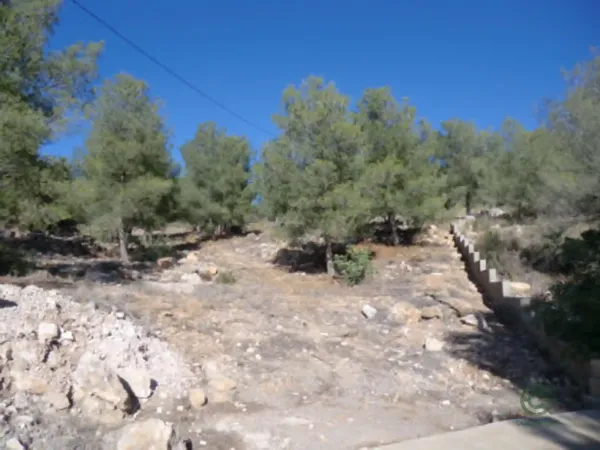 Spot image