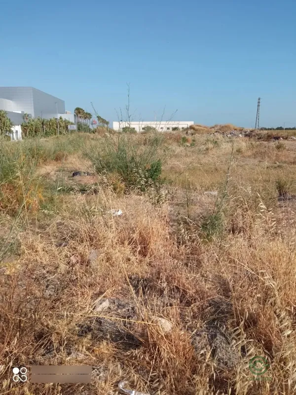 Spot image