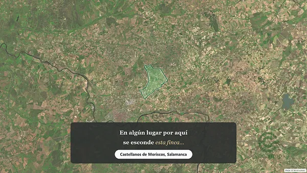 Spot image