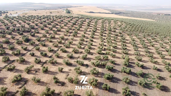 Finca agrícola de 3,47 ha en venta en Montoro, Cordoba