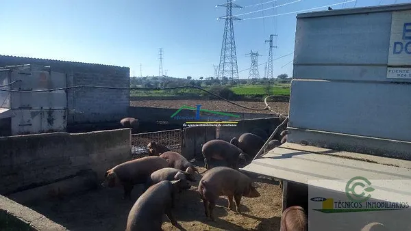 Finca rústica de 2,5 ha en venta en Mérida, Badajoz