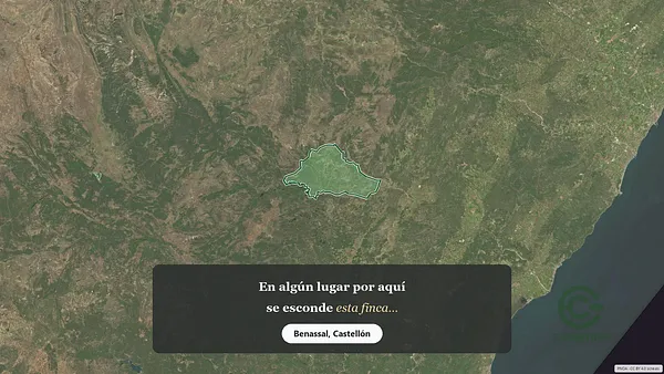 Spot image
