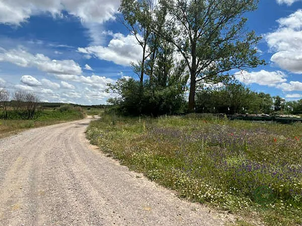 Finca rústica de 0,02 ha en venta en Almanza, León