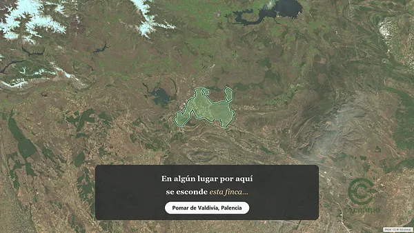 Spot image