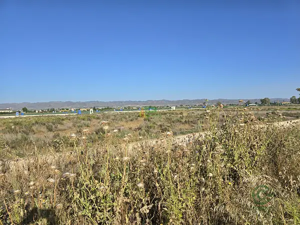 Finca agrícola de 0,51 ha en venta en Lorca, Murcia