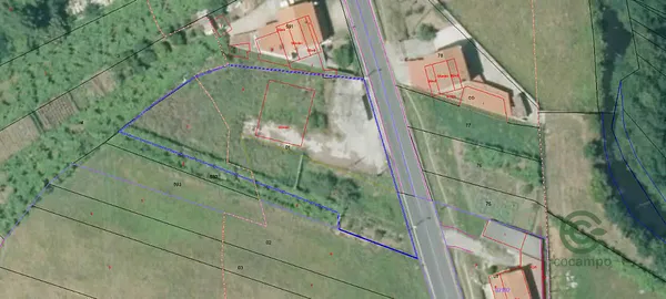 Spot image