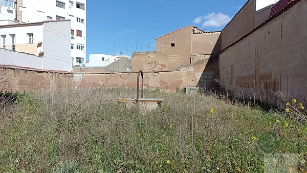 Spot image