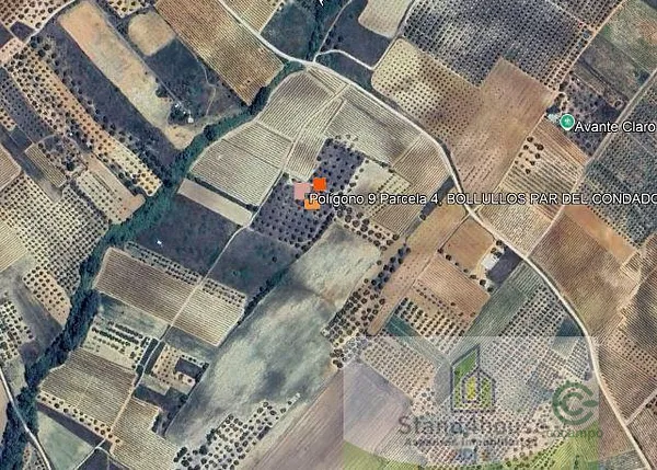 Spot image