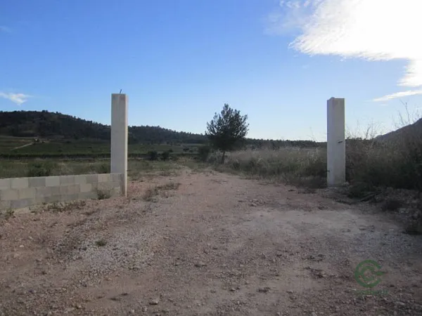 Spot image
