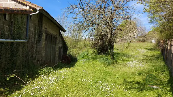 Spot image