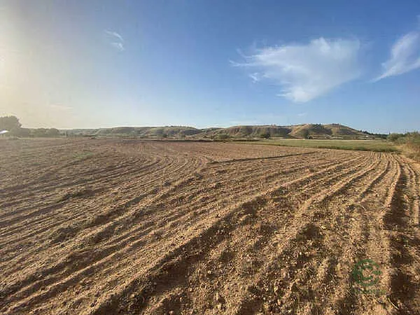 Finca rústica de 0,54 ha en venta en Driebes, Guadalajara