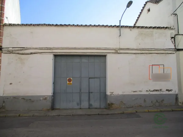 Spot image