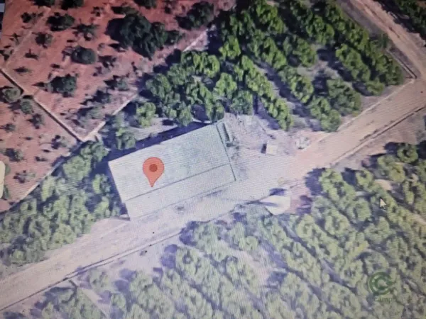 Spot image