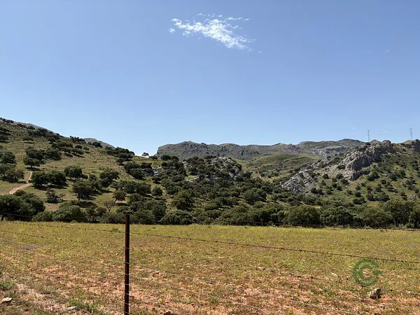 Finca ganadera de 117 ha en venta en Málaga