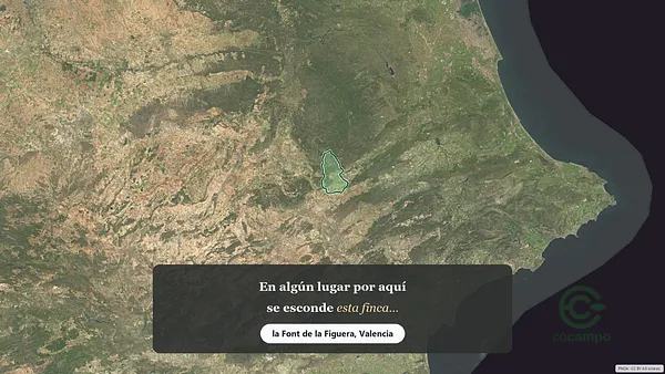 Spot image