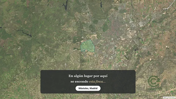 Spot image
