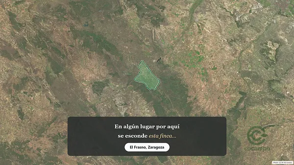 Spot image