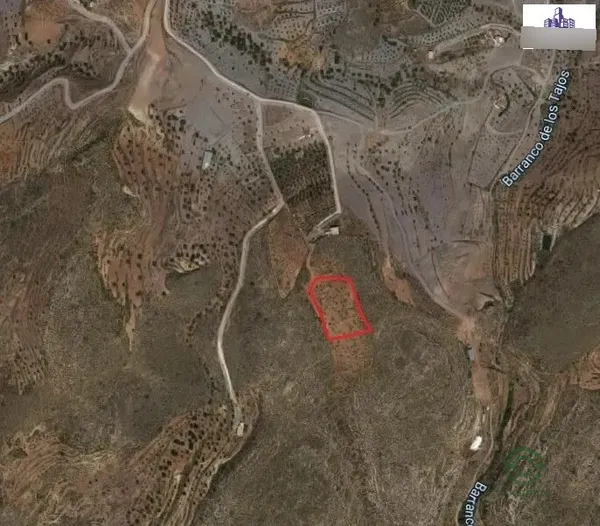 Spot image