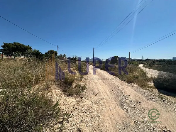 Spot image
